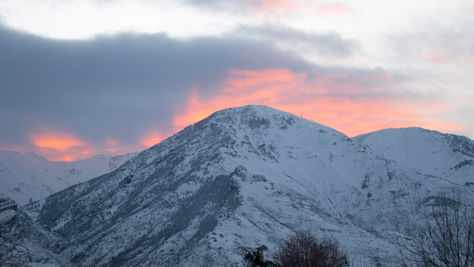 Clouds lit pink at sunrise over a snowy mountain with the pines dusted overnight